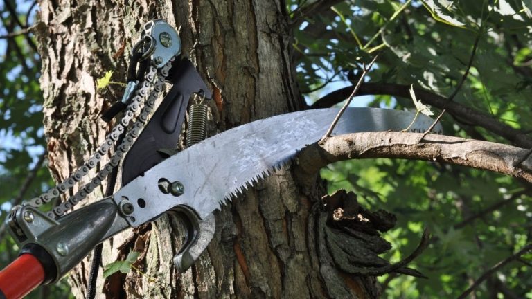 How to Sharpen a Pole Saw Blade