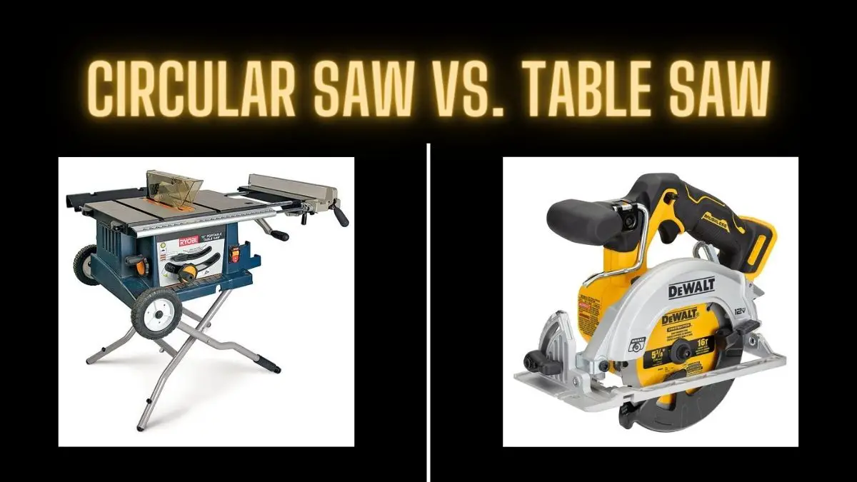 circular saw and table saw