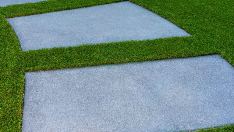 fertilized zoysia grass