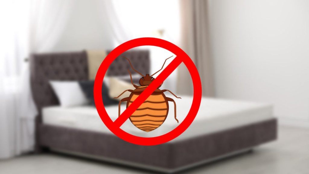 DR-122 Bedbug Heater Review