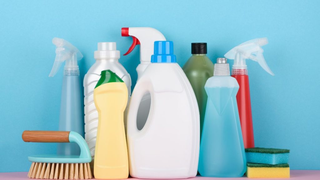 Does Bleach Kill Bed Bugs? DIY Spotlight